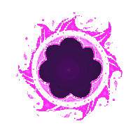 void nova