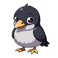 stickersearch 14684 jackdaw