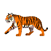 stickersearch 22915 tiger