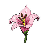 stickersearch 12564 lily