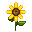 stickersearch 5737 sunflower