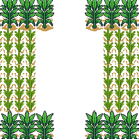 corn field tile