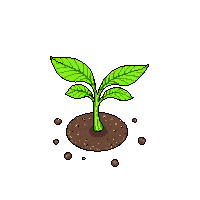 crop beet sprout