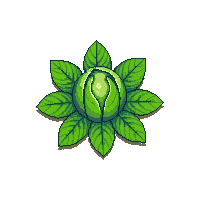 crop cabbage sprout