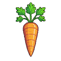crop carrot ripe