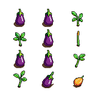 crop eggplant ripe