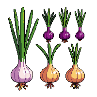crop onion ripe