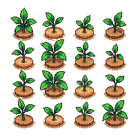 crop potato growing