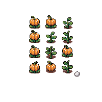 crop pumpkin growing