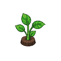 crop turnip sprout
