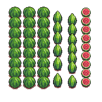 crop watermelon growing