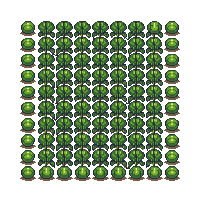 crop watermelon ripe