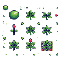 crop watermelon sprout