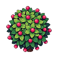 berry bush