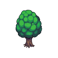 birch tree