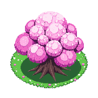 cherry blossom tree