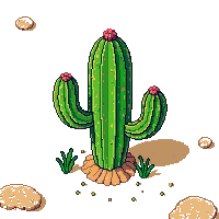 desert cactus cluster