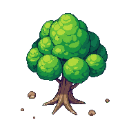 oak tree