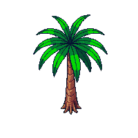 palm tree