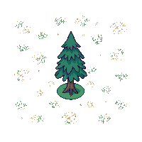 pine tree