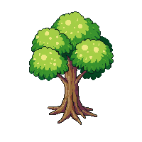 willow tree