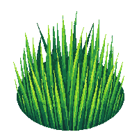 topdown tall grass wild swaying green