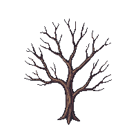 topdown tree dead bare winter branches