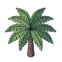 topdown tree palm tropical fronds