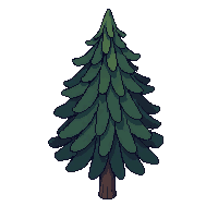 topdown tree pine tall conifer dark