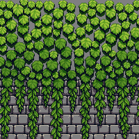 ancient ruins thick vines wall climbing green leafy dense