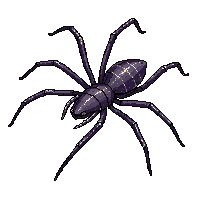 shadowlands shadow web sticky dark strands gossamer black