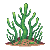 underwater kingdom coral elkhorn wide flat branching green