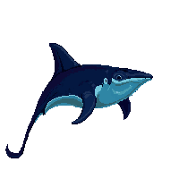 underwater kingdom manta ray gliding flat wide graceful dark