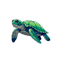 underwater kingdom sea turtle swimming green peaceful