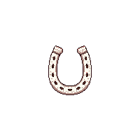 wester horseshoe lucky iron shoe 127 v9 2026 03 30T00 37 17