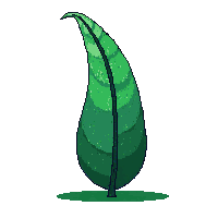 wizard hat tall pointed green leaf nature