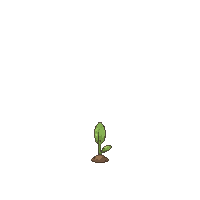 word garden 4510 stage 05