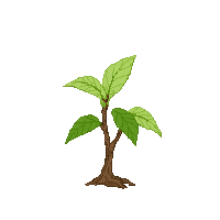word garden 4576 stage 08